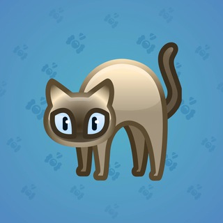 Scared Cat #11570