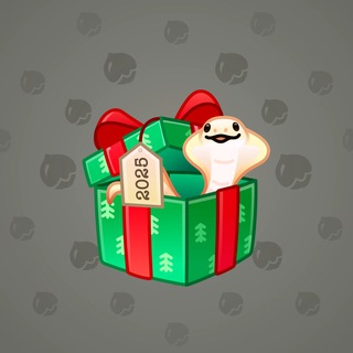 Snake Box #171360