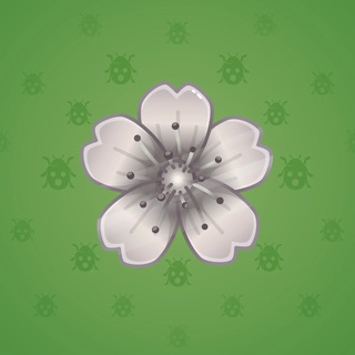 Sakura Flower #70639