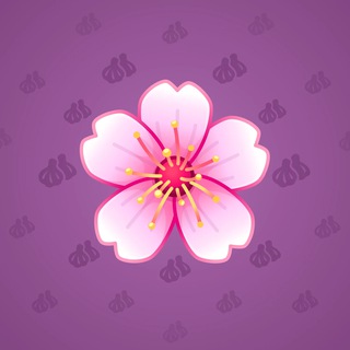 Sakura Flower #70680