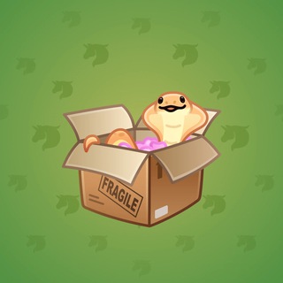 Snake Box #24867