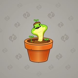 Snake Box #91683