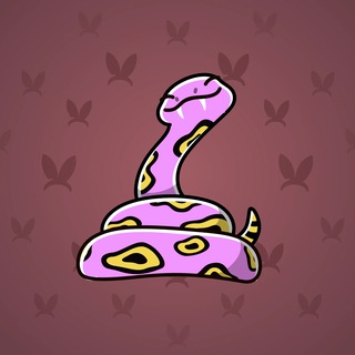 Pet Snake #30882