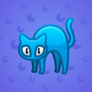 Scared Cat #12205