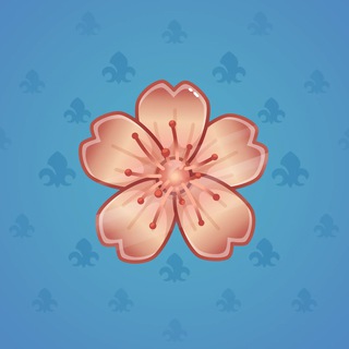 Sakura Flower #57126