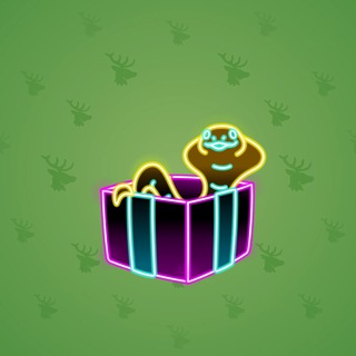 Snake Box #23793