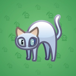 Scared Cat #493