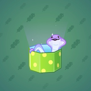 Snake Box #73629