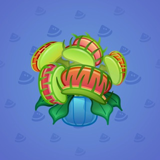 Venus Flytrap