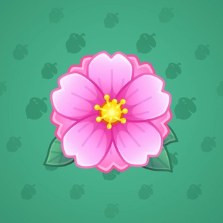 Sakura Flower #3874