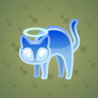 Scared Cat #8054