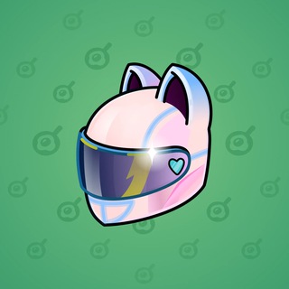 Neko Helmet #3483