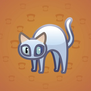 Scared Cat #15871