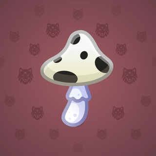 Spy Agaric #12424