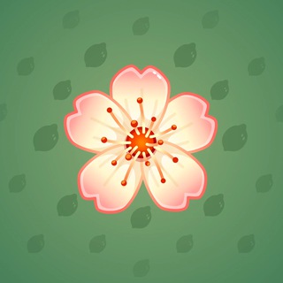 Sakura Flower #46827