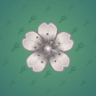 Sakura Flower #81580