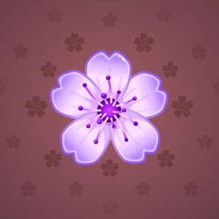 Sakura Flower #9979