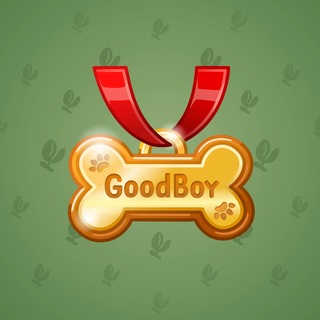 Good Boy