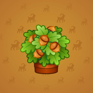 Oak Crown