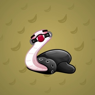 Pet Snake #18464