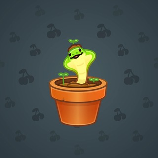 Snake Box #114371