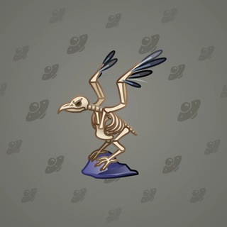 Rare Bird #11648
