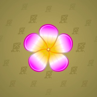 Sakura Flower #63509