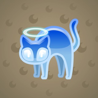 Scared Cat #17572