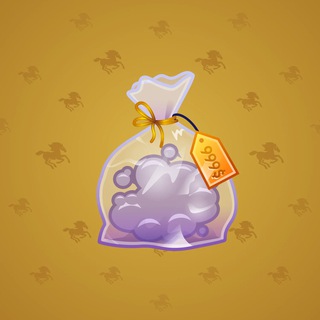 Swag Bag #102673