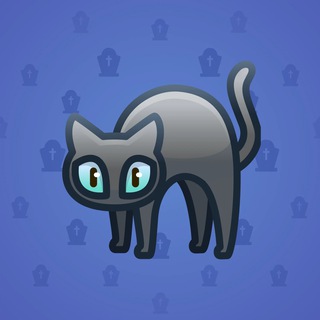 Scared Cat #14896