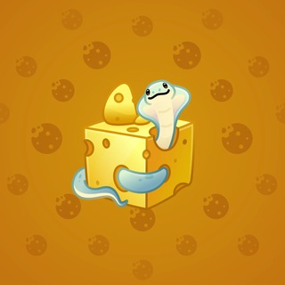Snake Box #62265