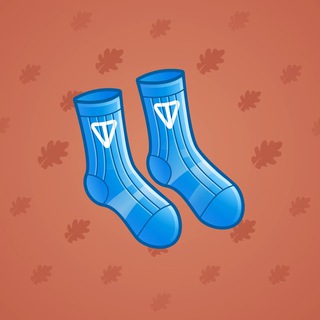 Fresh Socks #16211