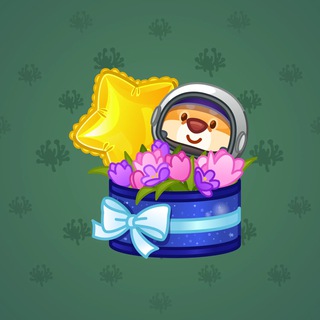 Joyful Bundle #20805