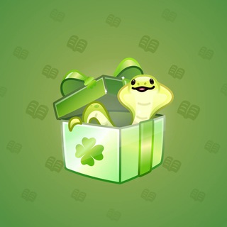 Snake Box #70893