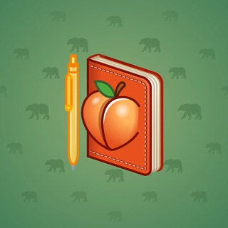 Star Notepad #13311