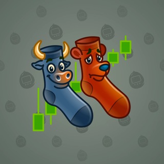 Fresh Socks #24134
