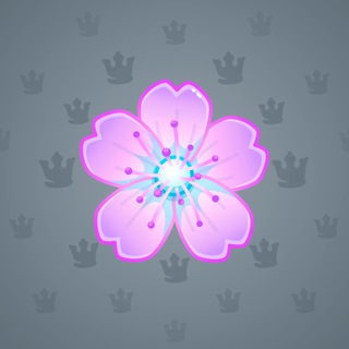 Sakura Flower #17417