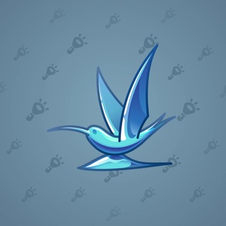 Rare Bird #12879