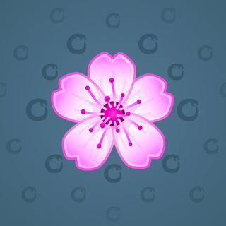 Sakura Flower #27177