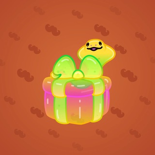 Snake Box #173021