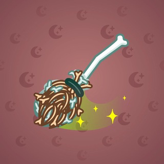 Flying Broom #3085