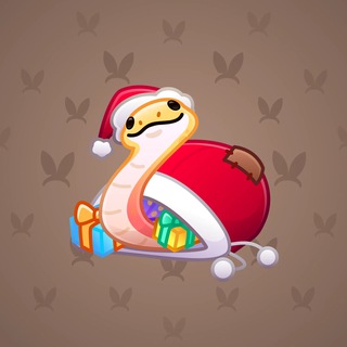 Pet Snake #39977