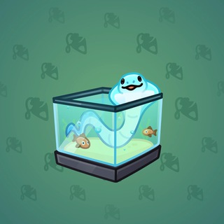Snake Box #50314