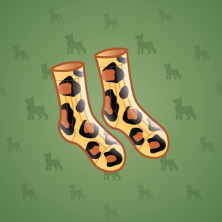 Fresh Socks #97102