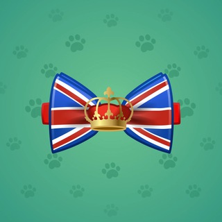 Bow Tie #30438