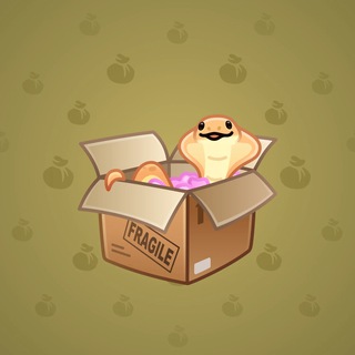 Snake Box #128887