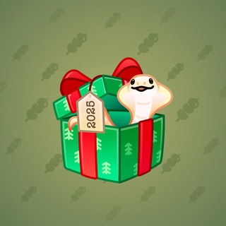 Snake Box #74991