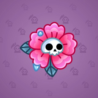 Carnation