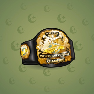 UFC World