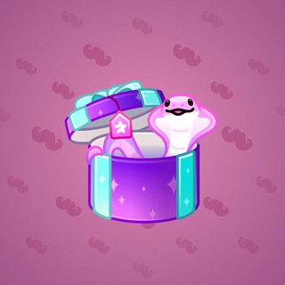 Snake Box #24982
